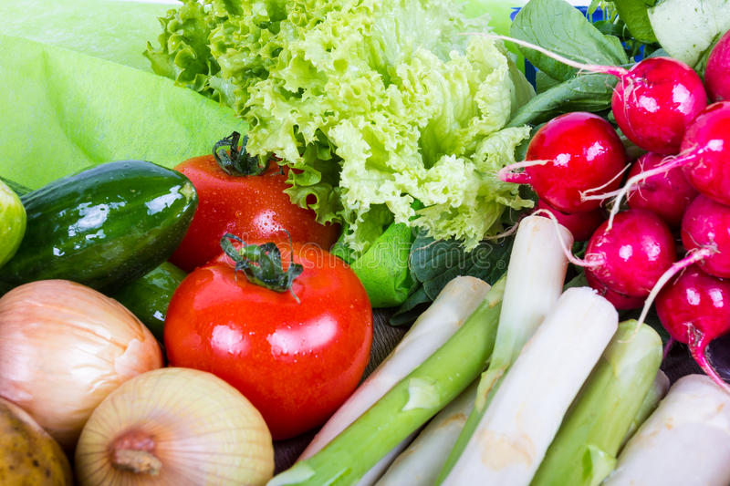 星空·综合体育