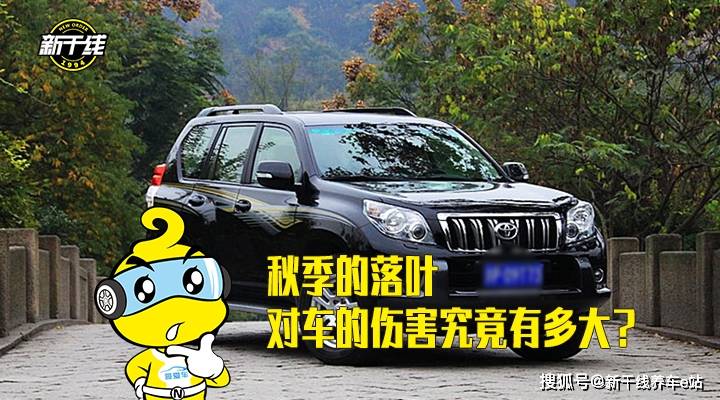 星空综合-
秋季的落叶对车的伤害究竟有多大？【新干线养车秘笈】(图2)