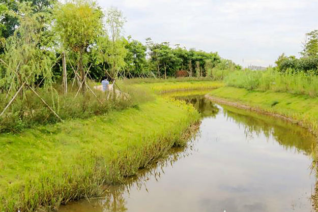 星空·综合体育