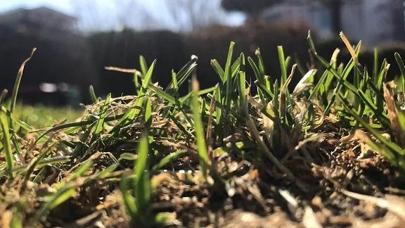 星空·综合体育