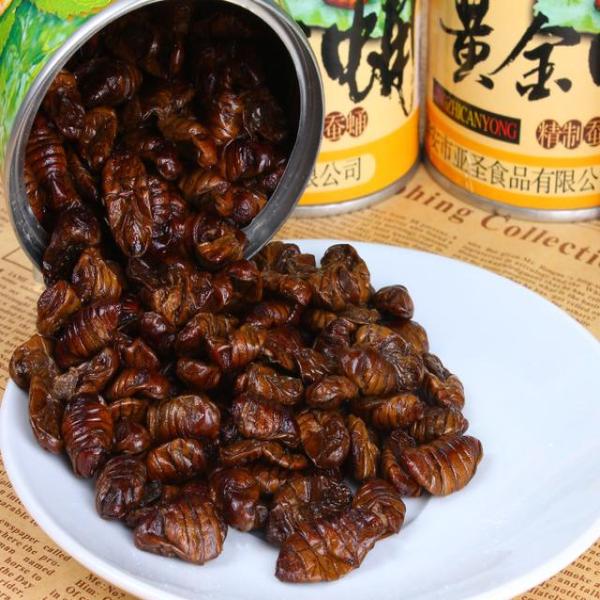 星空·综合体育