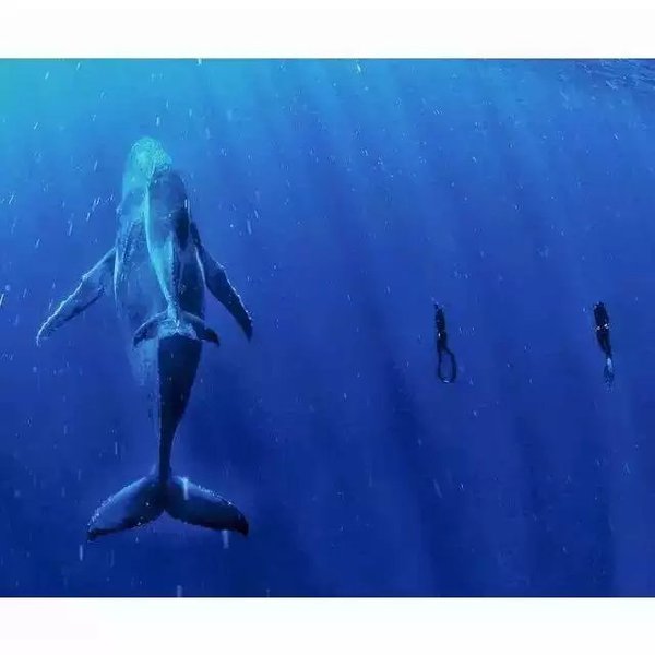 星空·综合体育