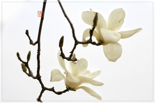 星空·综合体育