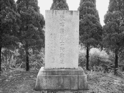 星空·综合体育