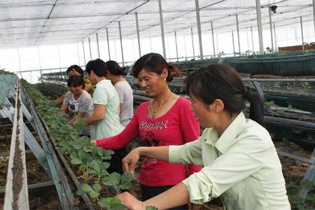 星空·综合体育