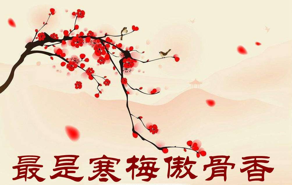 “星空综合”
30台入口车斯堪尼亚占三分之一 广开物流谋划理念是什么?(图1) 星空·综合体育