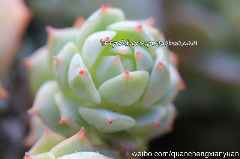 星空·综合体育