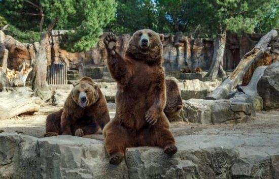 【星空综合】餐饮老板必须清楚:运动筹谋的七大步骤(图3) 星空综合