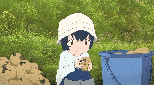 
日语词汇丨「新しい」和「新た」的意义和区别-星空·综合体育(图6)