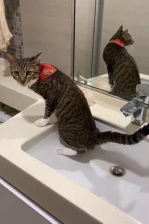 不再开箱子 战地新作的微交易系统将仅包括装饰品-星空综合(图2) 星空·综合体育