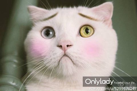 《绝地求生》将推出全新地图 玩家不喜欢天气效果-星空综合(图1) 星空综合